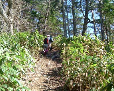 取り付き付近の登山道